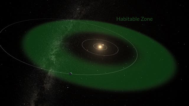 <p>The exoplanet orbits in the habitable zone of its star (Gabriel Pérez Díaz, SMM (IAC))</p>