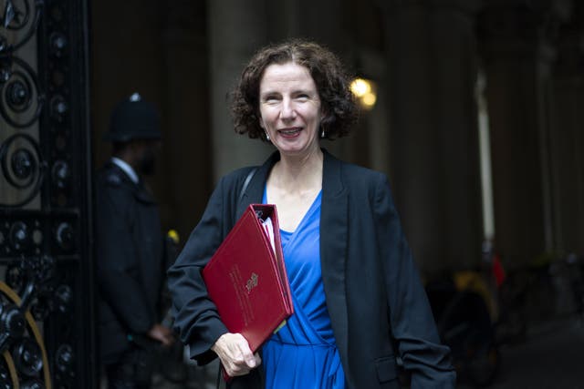 <p>Former Foreign Office minister Anneliese Dodds</p>