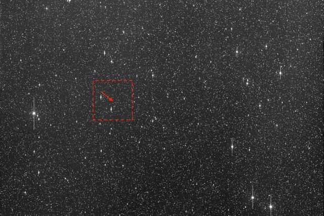 <p>Asteroid 2024 YR4</p>