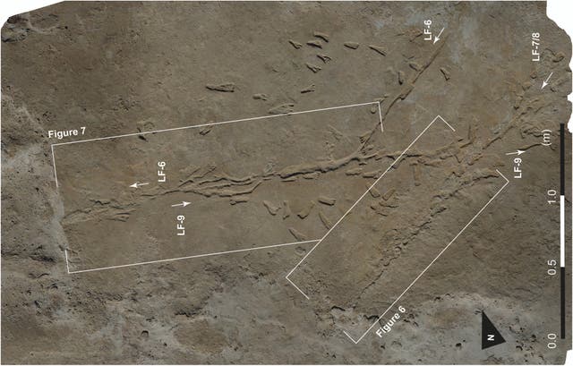 <p>Drag marks could be evidence of oldest known human-made vehicle</p>