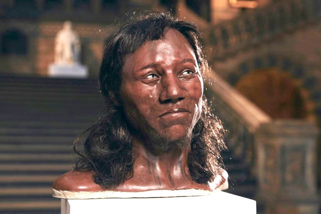 <p>Image of Cheddar Man who lived 10,000 years ago and had dark skin and blue eyes</p>
