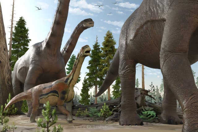 <p>Herd of the Jurassic sauropod dinosaur Camarasaurus walks through a mostly coniferous floodplain forest</p>