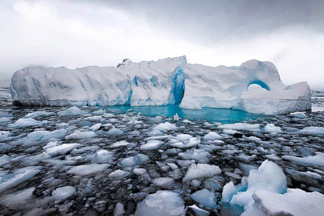 <p>Icebergs in the Antarctic</p>