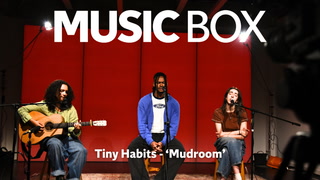 Boston trio Tiny Habits perform ‘Mudroom’ in Music Box session