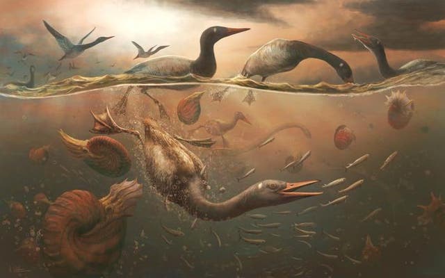 <p>In this illustration, the Late Cretaceous <em>Vegavis iaai </em>dives for fish off the coast of the Antarctic peninsula. Scientists have found a fossil belonging to what scientists say is the oldest known modern bird</p>