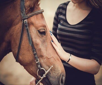 When Horses Are Healers