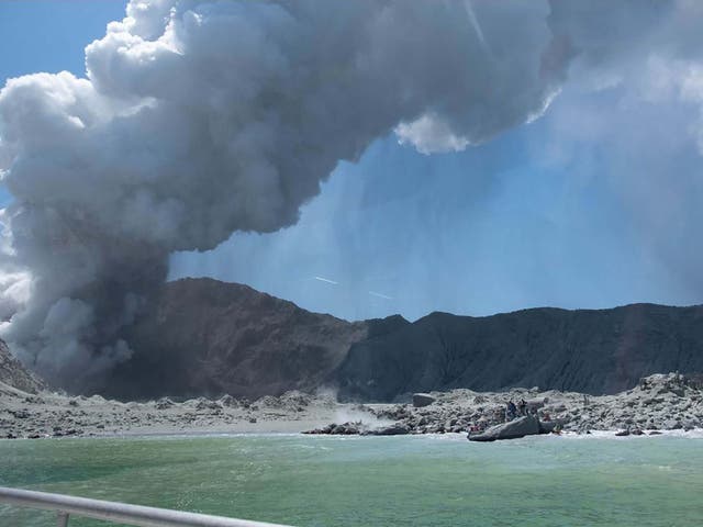 <p>22 people died when Whakaari/White Island erupted in 2019</p>